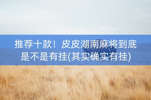 推荐十款！皮皮湖南麻将到底是不是有挂(其实确实有挂)