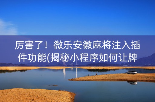 厉害了！微乐安徽麻将注入插件功能(揭秘小程序如何让牌变好)
