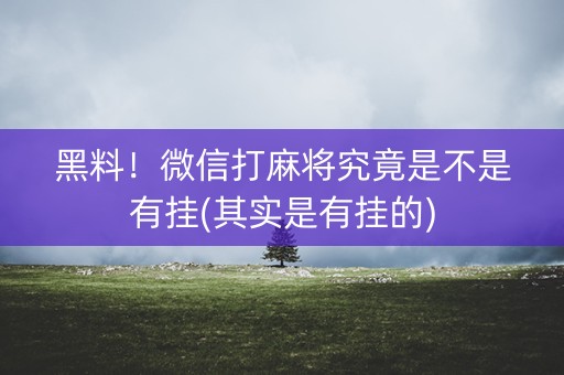 黑料！微信打麻将究竟是不是有挂(其实是有挂的)