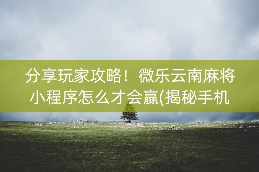 分享玩家攻略！微乐云南麻将小程序怎么才会赢(揭秘手机上系统发好牌)