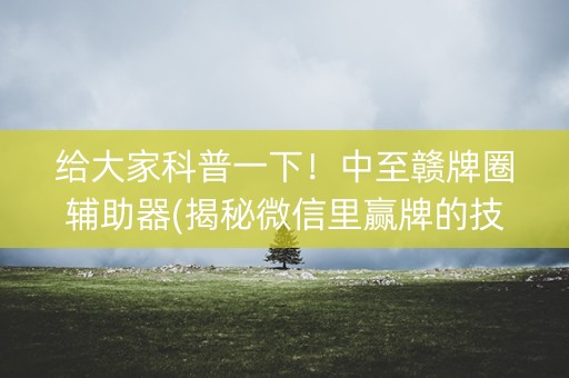 给大家科普一下！中至赣牌圈辅助器(揭秘微信里赢牌的技巧)