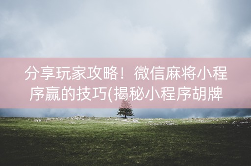 分享玩家攻略！微信麻将小程序赢的技巧(揭秘小程序胡牌技巧)