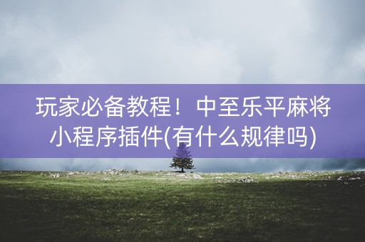 玩家必备教程！中至乐平麻将小程序插件(有什么规律吗)