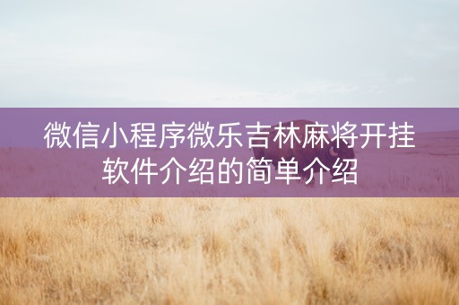 微信小程序微乐吉林麻将开挂软件介绍的简单介绍