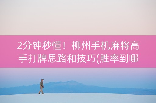 2分钟秒懂！柳州手机麻将高手打牌思路和技巧(胜率到哪调)