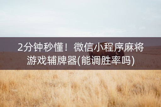 2分钟秒懂！微信小程序麻将游戏辅牌器(能调胜率吗)