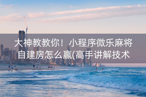 大神教教你！小程序微乐麻将自建房怎么赢(高手讲解技术)