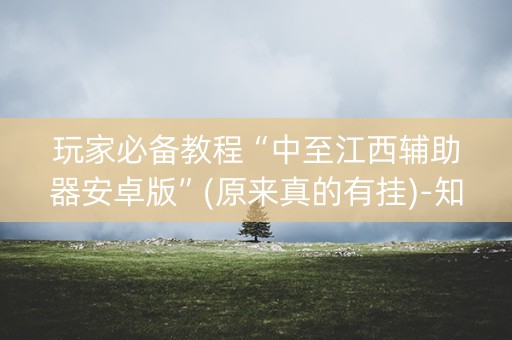 玩家必备教程“中至江西辅助器安卓版”(原来真的有挂)-知乎