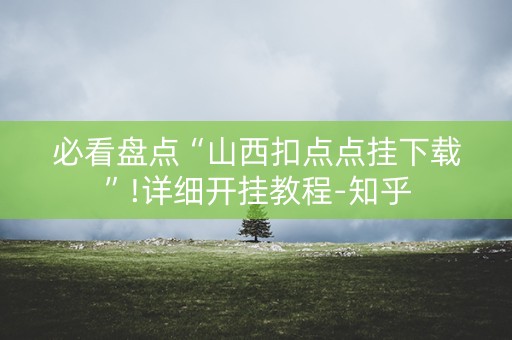 必看盘点“山西扣点点挂下载”!详细开挂教程-知乎