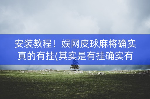 安装教程！娱网皮球麻将确实真的有挂(其实是有挂确实有挂)