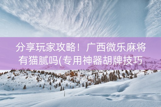 分享玩家攻略！广西微乐麻将有猫腻吗(专用神器胡牌技巧)