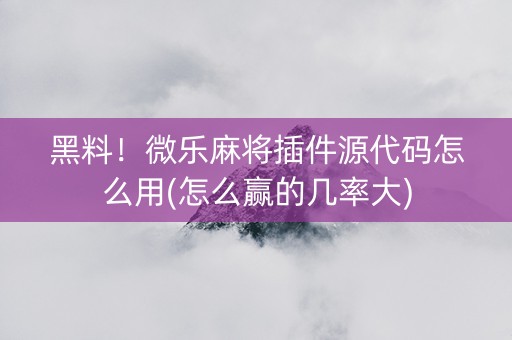 黑料！微乐麻将插件源代码怎么用(怎么赢的几率大)