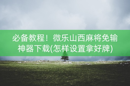 必备教程！微乐山西麻将免输神器下载(怎样设置拿好牌)