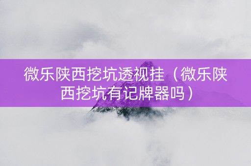 微乐陕西挖坑透视挂（微乐陕西挖坑有记牌器吗）