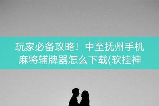 玩家必备攻略！中至抚州手机麻将辅牌器怎么下载(软挂神器)