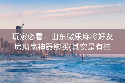 玩家必看！山东微乐麻将好友房助赢神器购买(其实是有挂的)