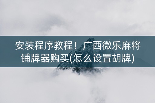 安装程序教程！广西微乐麻将铺牌器购买(怎么设置胡牌)