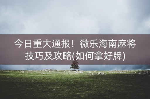 今日重大通报！微乐海南麻将技巧及攻略(如何拿好牌)