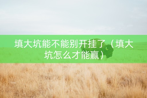 填大坑能不能别开挂了（填大坑怎么才能赢）
