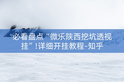 必看盘点“微乐陕西挖坑透视挂”!详细开挂教程-知乎