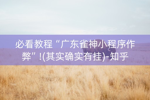 必看教程“广东雀神小程序作弊”!(其实确实有挂)-知乎
