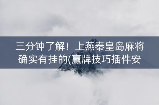 三分钟了解！上燕秦皇岛麻将确实有挂的(赢牌技巧插件安装)