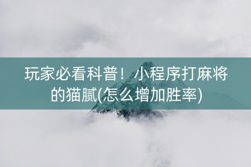 玩家必看科普！小程序打麻将的猫腻(怎么增加胜率)