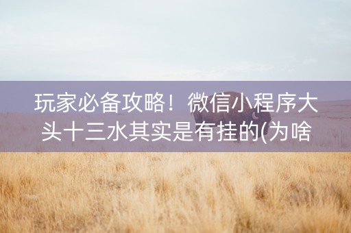玩家必备攻略！微信小程序大头十三水其实是有挂的(为啥我总是输)