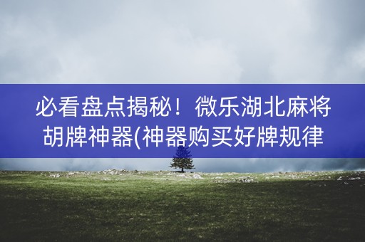 必看盘点揭秘！微乐湖北麻将胡牌神器(神器购买好牌规律)