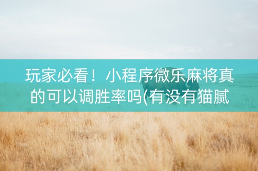 玩家必看！小程序微乐麻将真的可以调胜率吗(有没有猫腻)