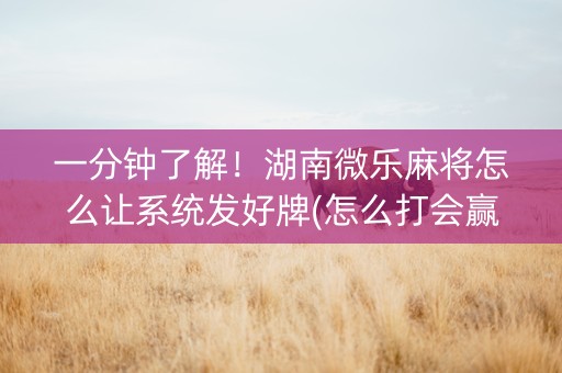 一分钟了解！湖南微乐麻将怎么让系统发好牌(怎么打会赢)