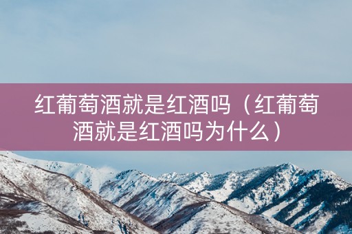 红葡萄酒就是红酒吗（红葡萄酒就是红酒吗为什么）