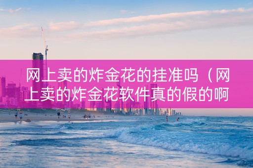 网上卖的炸金花的挂准吗（网上卖的炸金花软件真的假的啊）