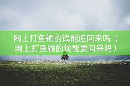 网上打鱼输的钱能追回来吗（网上打鱼输的钱能要回来吗）