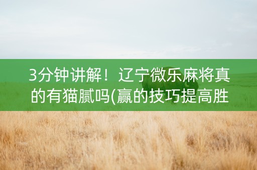 3分钟讲解！辽宁微乐麻将真的有猫腻吗(赢的技巧提高胜率)