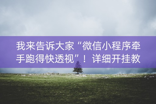 我来告诉大家“微信小程序牵手跑得快透视”！详细开挂教程（确实真的有挂)-知乎