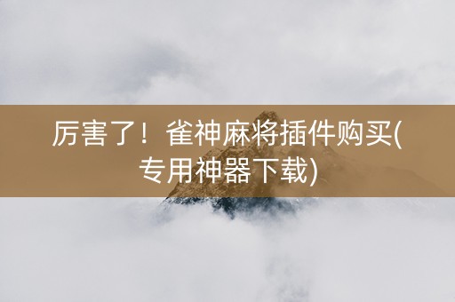 厉害了！雀神麻将插件购买(专用神器下载)