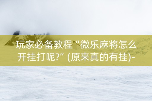 玩家必备教程“微乐麻将怎么开挂打呢?”(原来真的有挂)-知乎