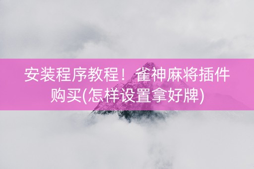 安装程序教程！雀神麻将插件购买(怎样设置拿好牌)