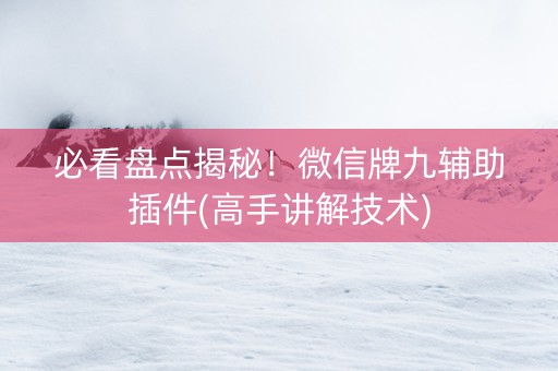 必看盘点揭秘！微信牌九辅助插件(高手讲解技术)