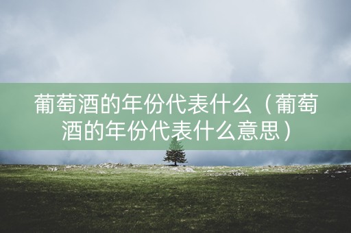 葡萄酒的年份代表什么（葡萄酒的年份代表什么意思）