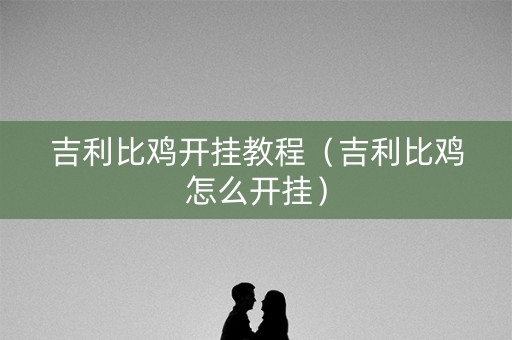 吉利比鸡开挂教程（吉利比鸡怎么开挂）