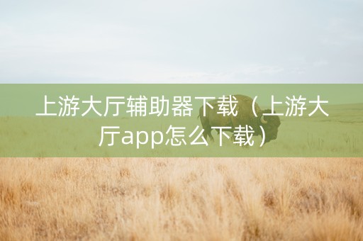 上游大厅辅助器下载（上游大厅app怎么下载）