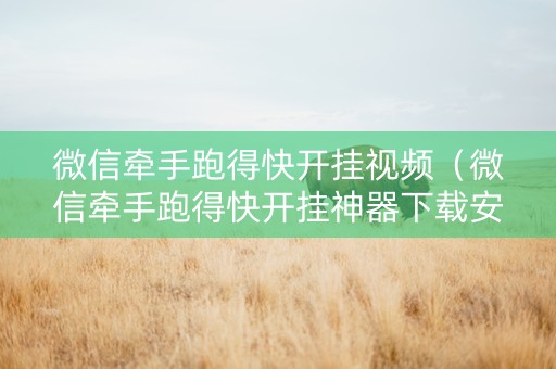 微信牵手跑得快开挂视频（微信牵手跑得快开挂神器下载安装）