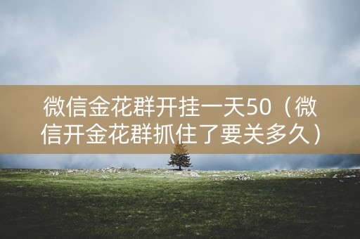微信金花群开挂一天50（微信开金花群抓住了要关多久）
