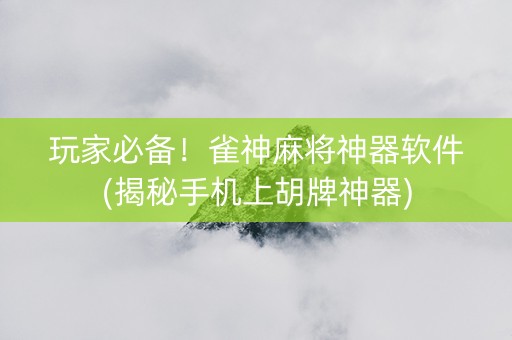 玩家必备！雀神麻将神器软件(揭秘手机上胡牌神器)