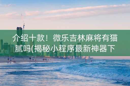 介绍十款！微乐吉林麻将有猫腻吗(揭秘小程序最新神器下载)
