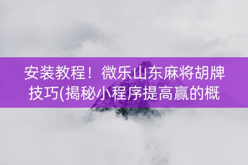 安装教程！微乐山东麻将胡牌技巧(揭秘小程序提高赢的概率)