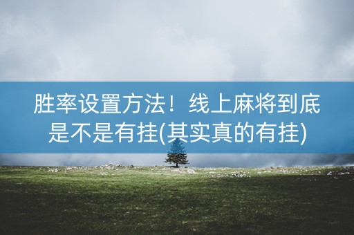 胜率设置方法！线上麻将到底是不是有挂(其实真的有挂)