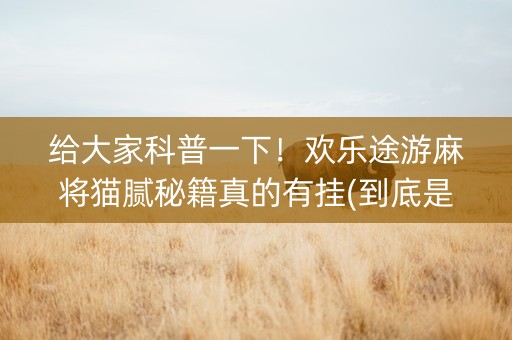 给大家科普一下！欢乐途游麻将猫腻秘籍真的有挂(到底是不是有挂)